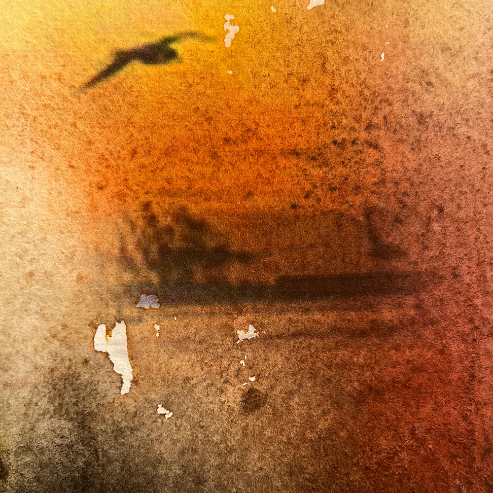 Harbour of Dreams